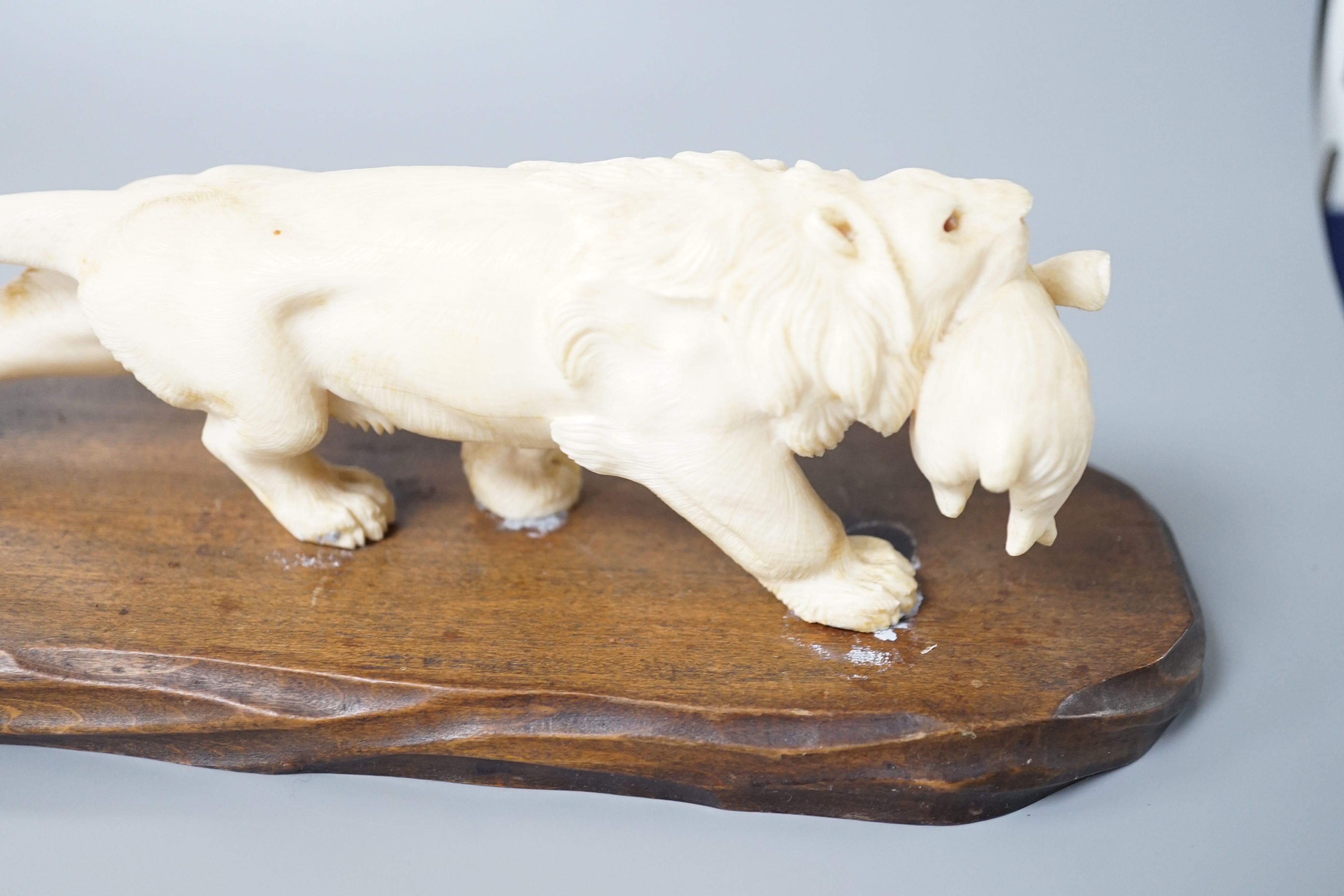 A Japanese ivory group of a lion grasping a hare in its mouth, wood stand, Meiji period, together with a similar figure of a water buffalo (2) largest 22cm